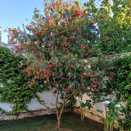 Casa Romeo Lecce
