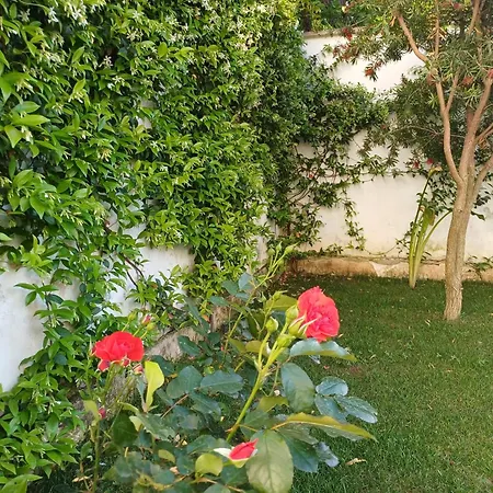 Casa Romeo Semesterbostad *